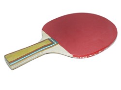 Ракетка для н/т для начинающих игроков.:(А-11) VbNL5AFPhVX-e0zbpi0b21 - фото 31138