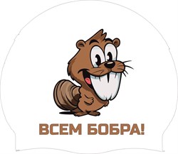 Шапочка VR Bobr XPpMaC2EjN09wjjxiVaG41