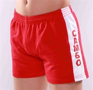 Шорты для самбо Sapsan красные kVb3YPjmgE-R1MMbmRxkz3