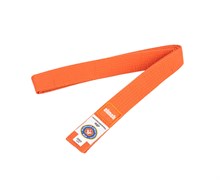Пояс для дзюдо Clinch Judo Belt FDR  оранжевый e3weJ5N3gx096G53B2zx01