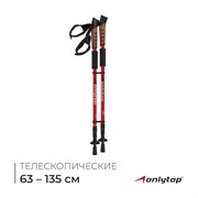 Палки трекинговые, телескопические, 3-х-секционные, до 135 см (пара 2 шт), цвета микс  2579487 2579487