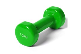 DB400 Гантель виниловая 1.5 кг (зеленая) (E36745) 10020626